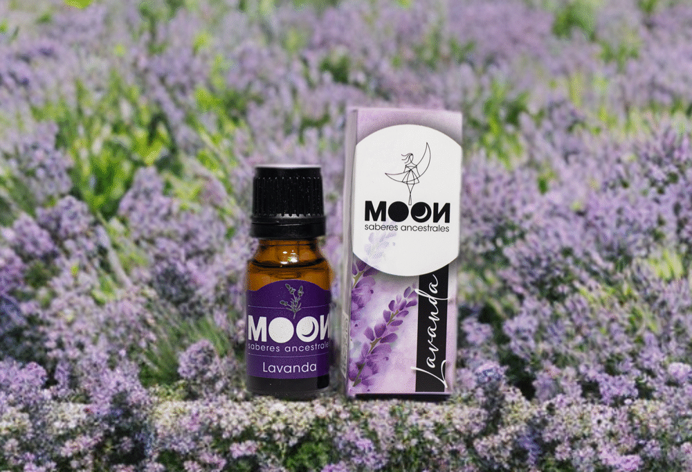 Tienda Imagen principal